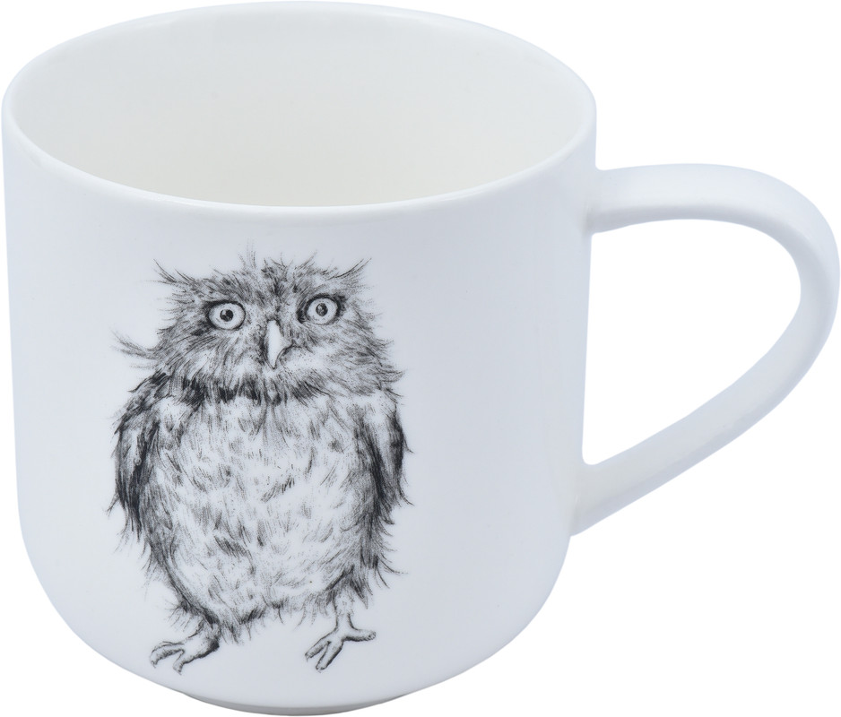 Чашка ASTERA Graphics Ruffled Owl 450 мл Color (A0520-450-4)